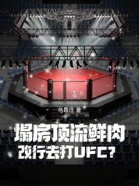 塌房顶流鲜肉，改行去打UFC？